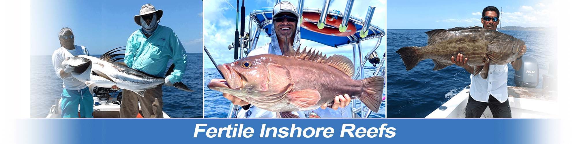 Fertile Inshore Reefs