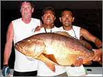 Cuberra Snapper